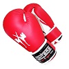 FIGHTERS - Kinder Boxhandschuhe / Attack / 6 oz / Rot