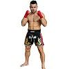 FIGHTERS - Pantaloncini Muay Thai / Elite Pro Fighters / Nero-Rosso